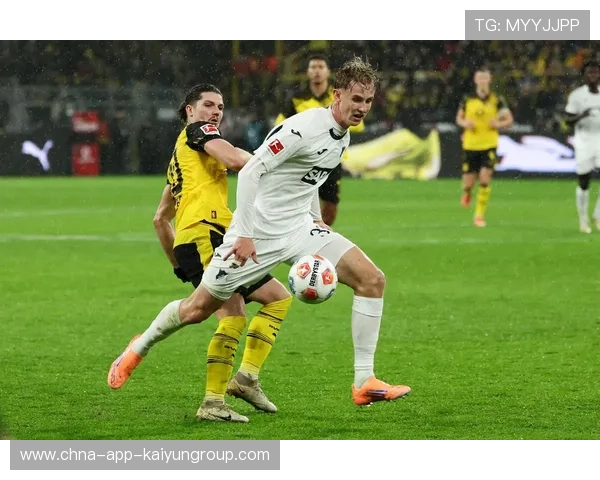 多特蒙德重塑前场体系，霍芬海姆新星加盟迎未来新篇章